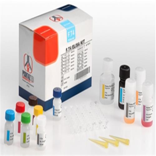 پنل تیروئید